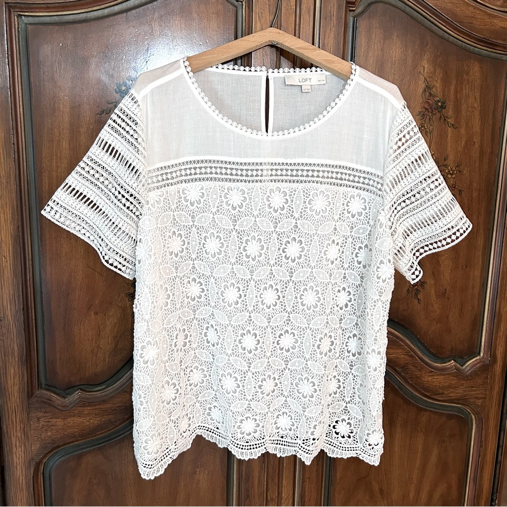 LOFT ~ White Eyelet Short Sleeve Cotton Lace Top in size XL Petite